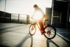 018 City- Und Alltagsvelo, Alizarinrot Von DIAMANT -Günstiges E-Bikes Geschäft 3UMI6lXxdwDzTipLPI3jbJ 33011836 alizarinrot 4