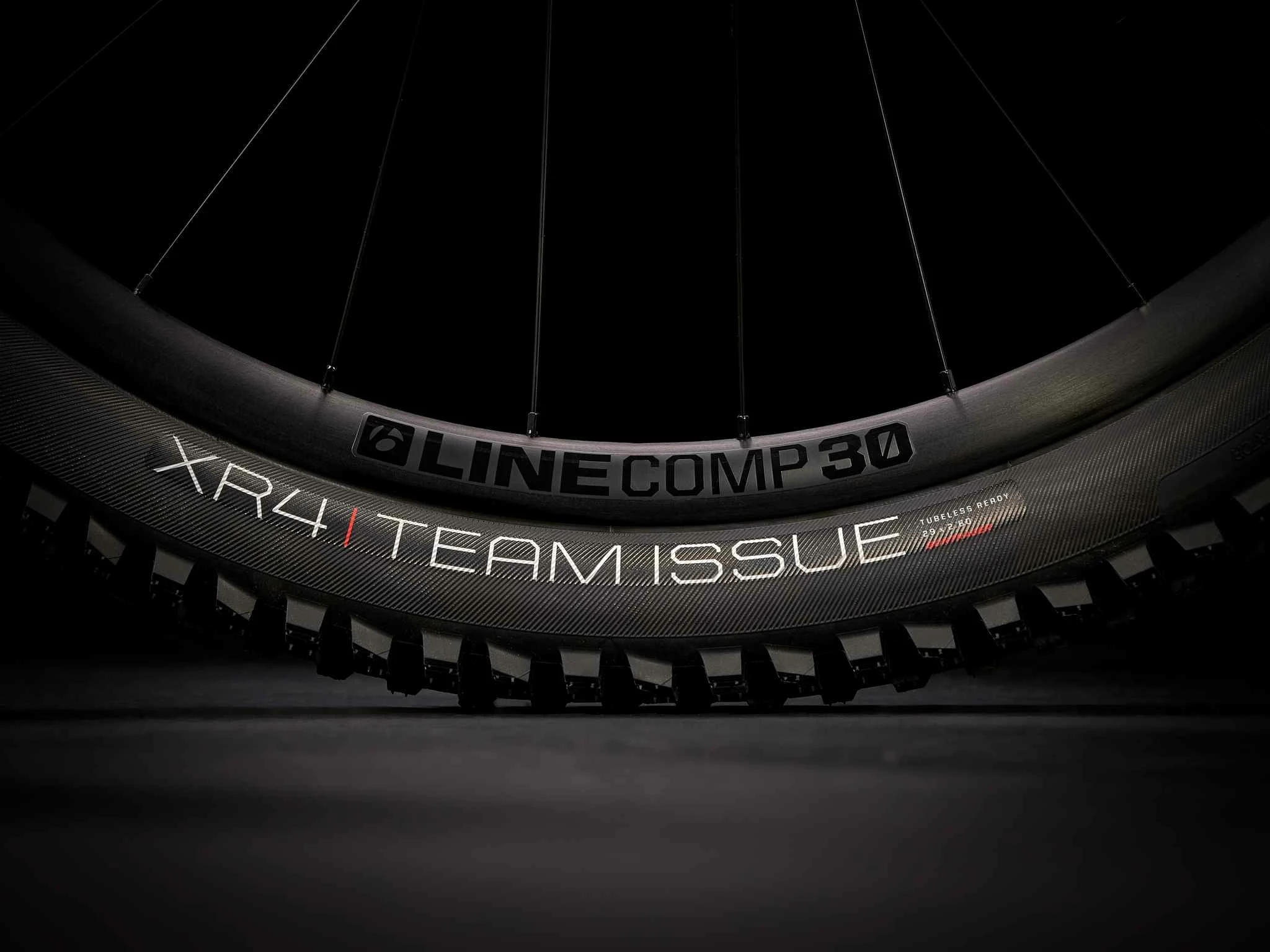 FUEL EX 8 XT MTB Fully, Rot Von TREK 12 FUEL EX 8 XT MTB Fully, Rot Von TREK – Bild 10