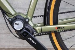 DAILY QUEST Pinion City- Und Alltagsvelo, Grün Von IBEX -Günstiges E-Bikes Geschäft 3esLEDXu4cS5bLTXbXTr9V 33005738 008 15