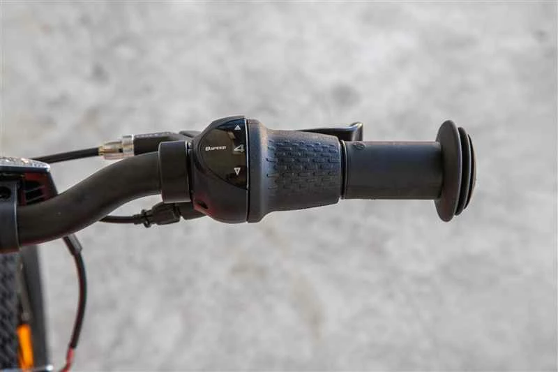 FLiZZi 20 RIEMEN Kindervelo, Rot Von FLIZZI By VELOPLUS 14 FLiZZi 20 RIEMEN Kindervelo, Rot Von FLIZZI By VELOPLUS – Bild 12