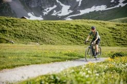 TURBO CREO SL COMP CARBON EVO E-Gravelbike , Carbon Oak Green Metallic Von SPECIALIZED 22 TURBO CREO SL COMP CARBON EVO E-Gravelbike , Carbon Oak Green Metallic Von SPECIALIZED -Günstiges E-Bikes Geschäft 5MRlqrX3rHgGsEghw4neeb 33016585 carbon oa allic 9