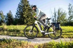 ZING GEN 2 Mittel E-City Und Alltagvelo, Weiss Von DIAMANT -Günstiges E-Bikes Geschäft 5WDByuFT15C7SoYRcKkU08 33016611 001 6