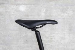 DAILY QUEST Pinion City- Und Alltagsvelo, Grün Von IBEX -Günstiges E-Bikes Geschäft 60od67iNI05BYWQphSeu48 33005738 008 7