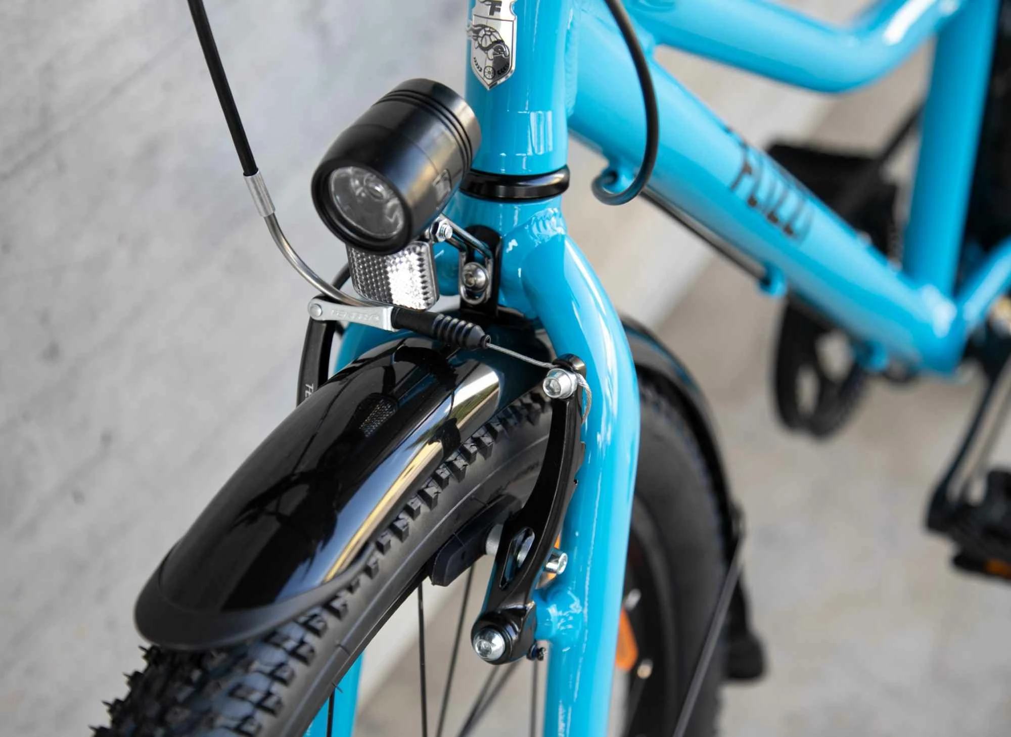 FLiZZi 24 RIEMEN EQ Kindervelo, Blau Von FLIZZI By VELOPLUS 13 FLiZZi 24 RIEMEN EQ Kindervelo, Blau Von FLIZZI By VELOPLUS – Bild 11