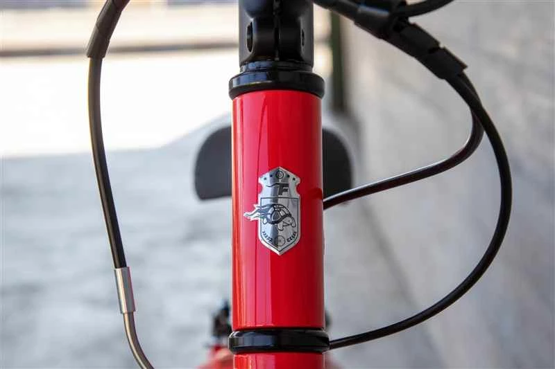 FLiZZi 20 RIEMEN Kindervelo, Rot Von FLIZZI By VELOPLUS 16 FLiZZi 20 RIEMEN Kindervelo, Rot Von FLIZZI By VELOPLUS – Bild 14