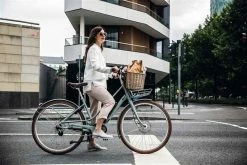 JUNA+ 400WH E-City- Und Alltagsvelo, Grün Von DIAMANT -Günstiges E-Bikes Geschäft 7BjZgtL0faYyYVm4y6lyJP 33005702 002 15