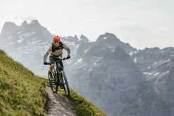 DEFEND MOTH Herren-Langarmshirt , Bark Von FOX -Günstiges E-Bikes Geschäft 7J6lqcHg1DRPD3tz22Ce06 33012000 374 5