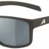 NACAN I Freizeit-/Sportbrille , Coffee-grey Matt Von ALPINA -Günstiges E-Bikes Geschäft OQYKV8HJ2b7yEe09pbSOa 33016374 coffee grey mat 0