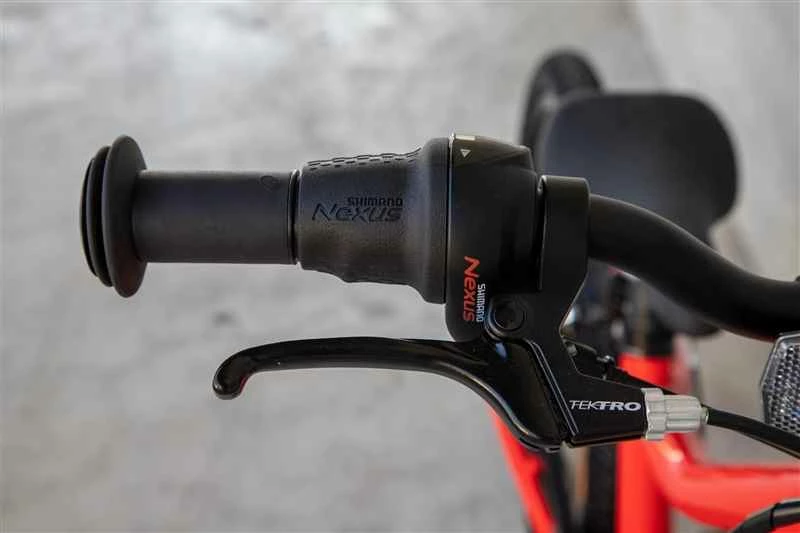 FLiZZi 20 RIEMEN Kindervelo, Rot Von FLIZZI By VELOPLUS 15 FLiZZi 20 RIEMEN Kindervelo, Rot Von FLIZZI By VELOPLUS – Bild 13